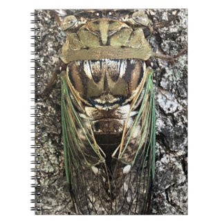 Carnet Cicada