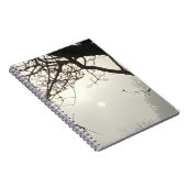 Carnet Ciel Blanc Et Soleil Dramatiquement Encadrés D'Arb (Côté Droit)