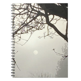 Carnet Ciel blanc et soleil encadrés de manière spectacul