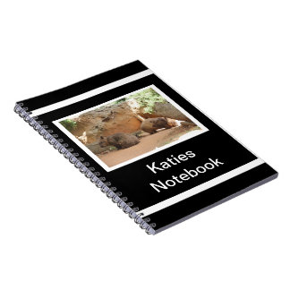 Carnet Ciel de wombat