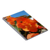 Carnet ciel, fleurs et abeille (Côté Droit)