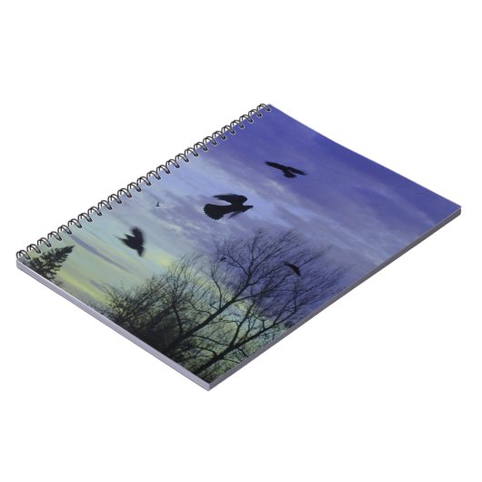 Carnet Ciel Moody Blue Crows (Côté gauche)