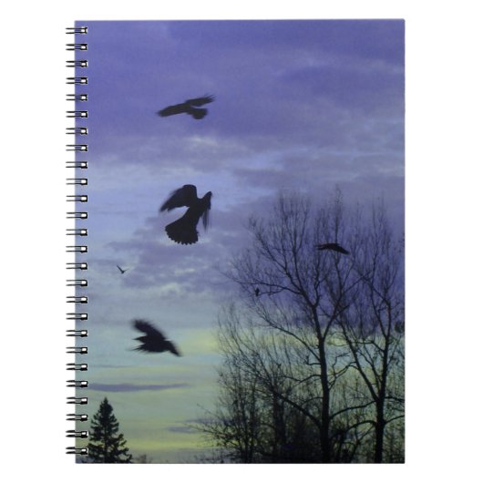 Carnet Ciel Moody Blue Crows (Devant)
