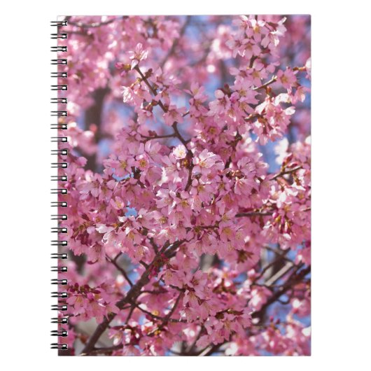 Carnet Ciel Rose de Cerisier Sakura (Devant)