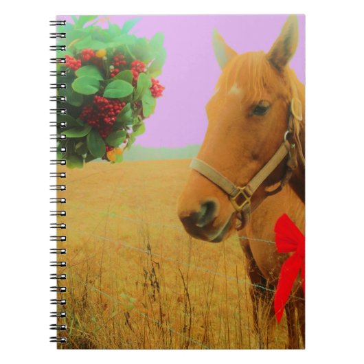 Carnet Ciel rose rétro Cheval de Noël (Devant)