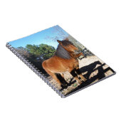 Carnet Ciel turquoise de poney Brown (Côté Droit)