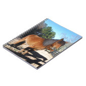 Carnet Ciel turquoise de poney Brown (Côté gauche)