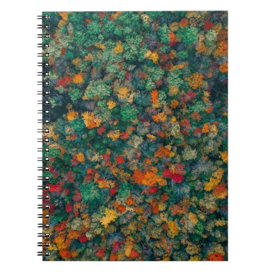 Carnet Cimes colorées (Devant)