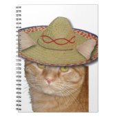 Carnet Cinco de Gato (Devant)