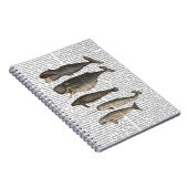 Carnet Cinq baleines Vintages (Côté Droit)