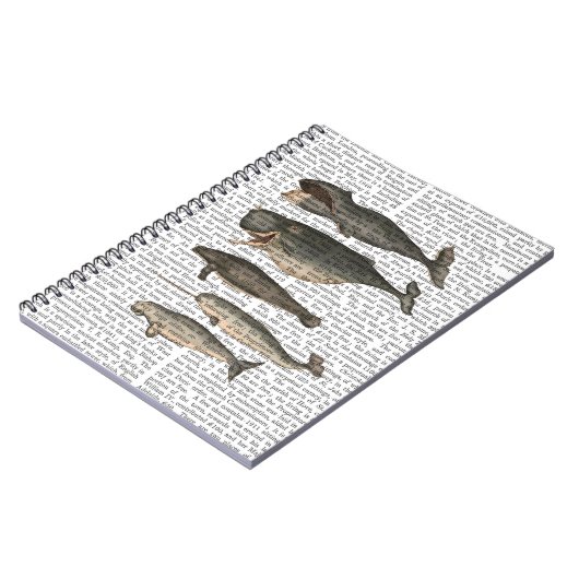 Carnet Cinq baleines Vintages (Côté gauche)