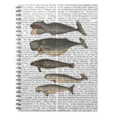 Carnet Cinq baleines Vintages (Devant)