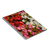 Carnet Cire colorée Begonias (Côté Droit)