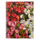 Carnet Cire colorée Begonias (Devant)
