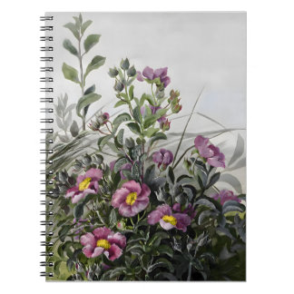 Carnet Cistus Floral Dessin, Don Valentine's