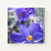 Carnet Citation Crocus Purple Fleurs (Dos)