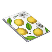 Carnet Citrons (Côté Droit)