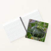 Carnet Citrouille (Intérieur)