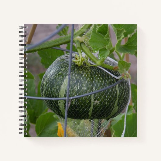 Carnet Citrouille (Devant)
