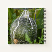 Carnet Citrouille (Dos)
