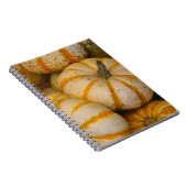 Carnet citrouille (Côté Droit)