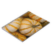 Carnet citrouille (Côté gauche)