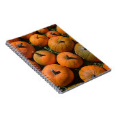 Carnet citrouille (Côté Droit)