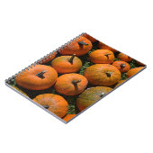 Carnet citrouille (Côté gauche)