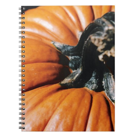 CARNET CITROUILLE ! (Devant)