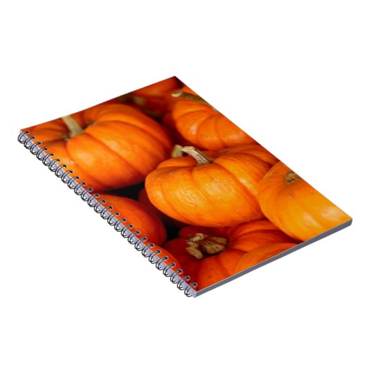 Carnet Citrouille (Côté Droit)