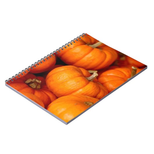 Carnet Citrouille (Côté gauche)