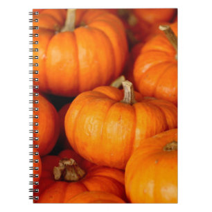 Carnet Citrouille