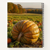 Carnet Citrouille (Dos)