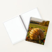 Carnet Citrouille (Intérieur)