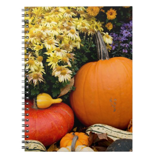 Carnet citrouille décoratif d'automne coloré (Devant)
