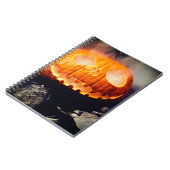 Carnet Citrouille déplaisant (Côté gauche)