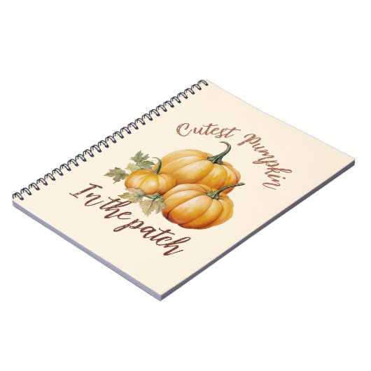 Carnet Citrouille le plus précis dans le patch (Côté gauche)