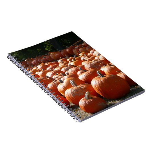 Carnet Citrouille Patch Automne Harvest Photographie (Côté Droit)