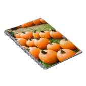 Carnet Citrouilles à vendre au marché d'un agriculteur (Côté Droit)