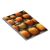 Carnet Citrouilles d'automne (Côté Droit)