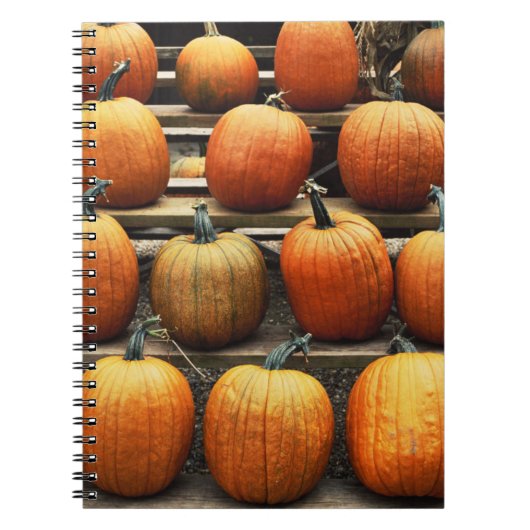 Carnet Citrouilles d'automne (Devant)