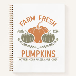 Carnet Citrouilles frais de ferme   Main saisie