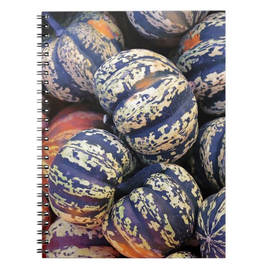 Carnet Citrouilles rayées rustiques (Devant)