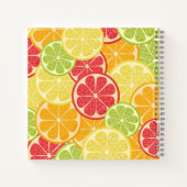 Carnet Citrus de dessin (Dos)