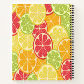 Carnet Citrus de dessin (Dos)