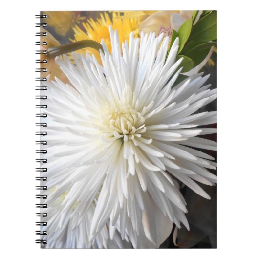 Carnet Claricia (Devant)