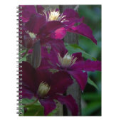 Carnet Clematis violet (Devant)