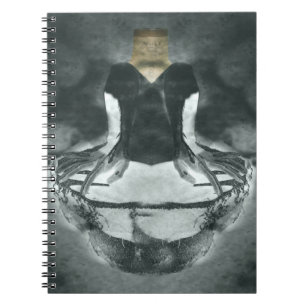 Carnet Clonage allé de travers