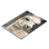 Carnet Close (Côté gauche)