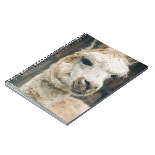 Carnet Close (Côté gauche)